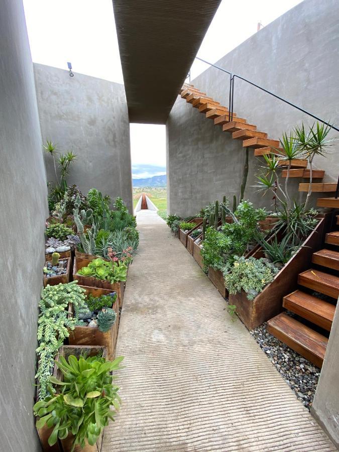 Santulan Bed and Breakfast Valle de Guadalupe Buitenkant foto
